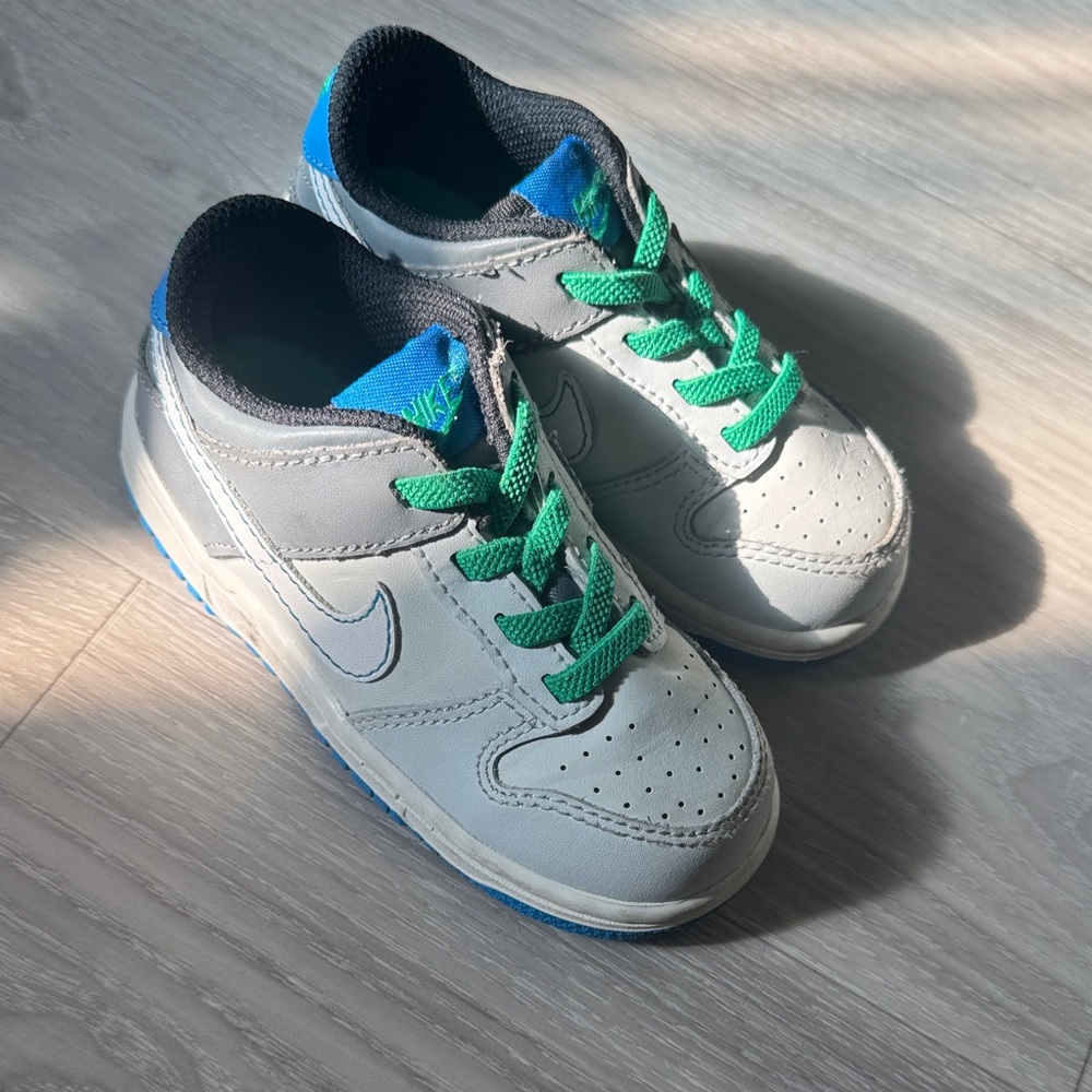 Toddler Nike Dunks